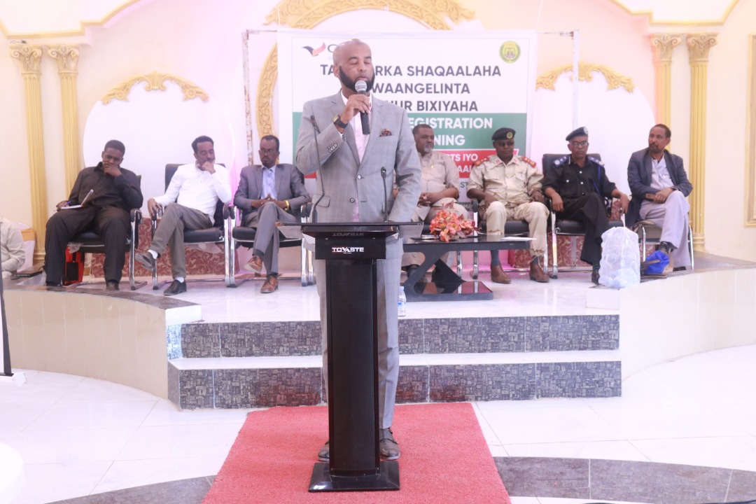 Our Solutions whatsapp image 2025 08 24 at 11.51.53 pm (3)